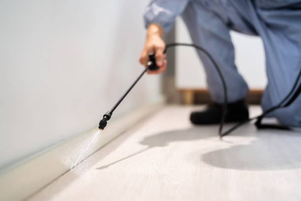 Licensed Termite Control service in Thurston County County, WA - Nex Pest Control