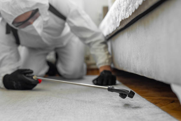 Professional Termite Control technician working in Thurston County County, WA